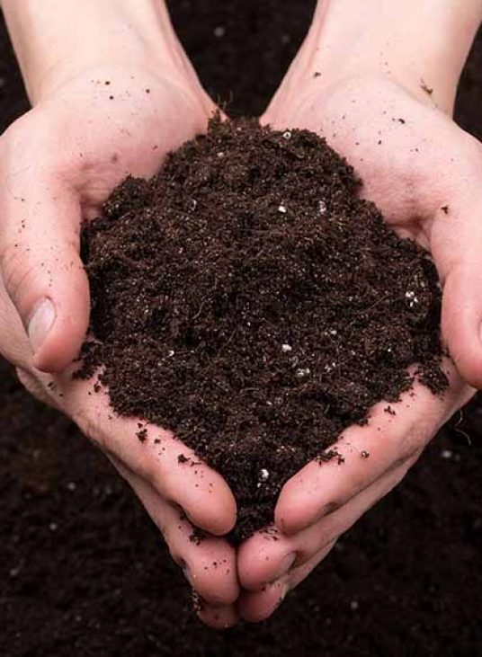 Bunch of good soil in hands on ground background